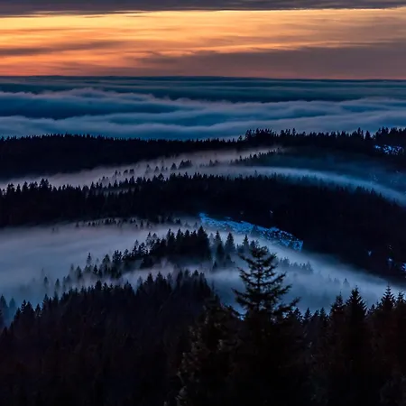 Dresselbach - 05 